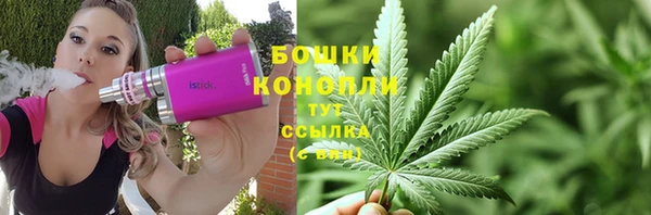 spice Аркадак