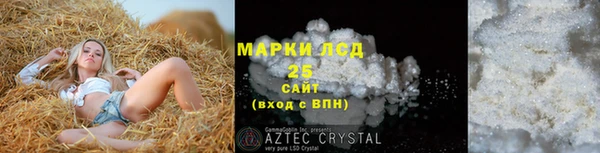 spice Аркадак
