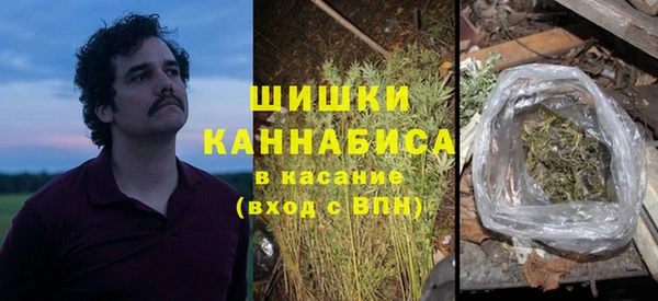 spice Аркадак