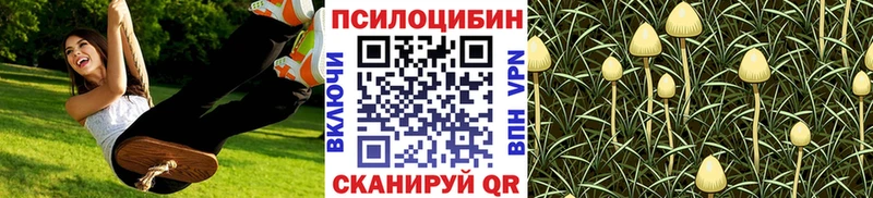Псилоцибиновые грибы Psilocybe Островной