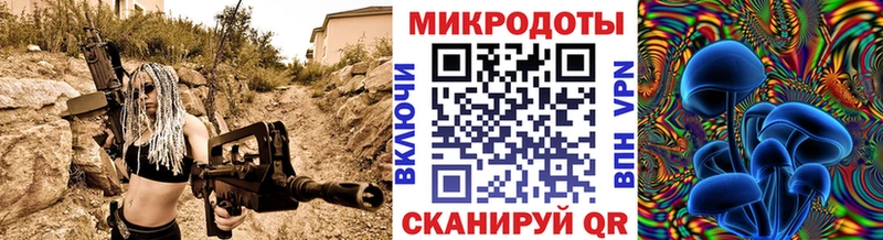 закладки  Островной  Псилоцибиновые грибы GOLDEN TEACHER 